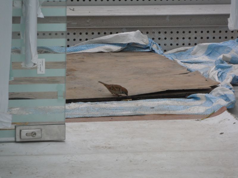 gal/Hong Kong Discovery Bay/Aufzug Discovery Bay/SAM_1302.JPG